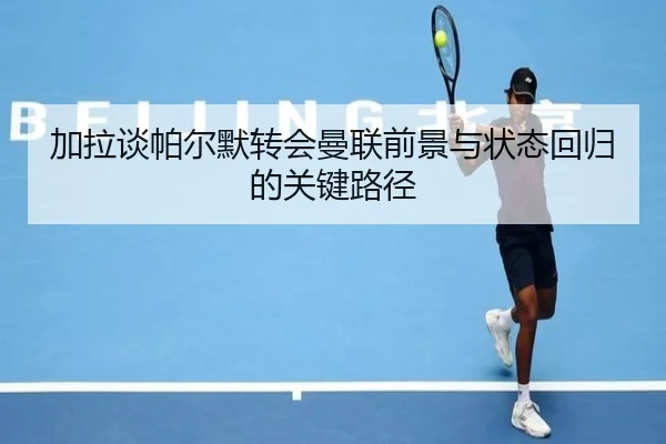 加拉谈帕尔默转会曼联前景与状态回归的关键路径